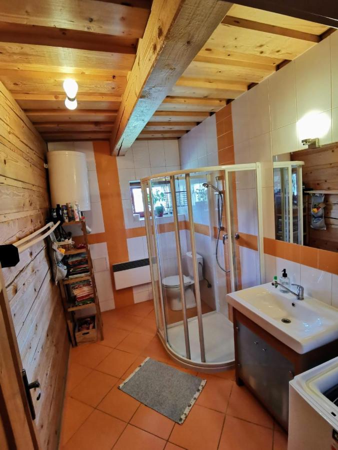 Drevenica Zapadne Tatry S Kupacou Kadou A Krbom Apartment Ziar Exterior photo